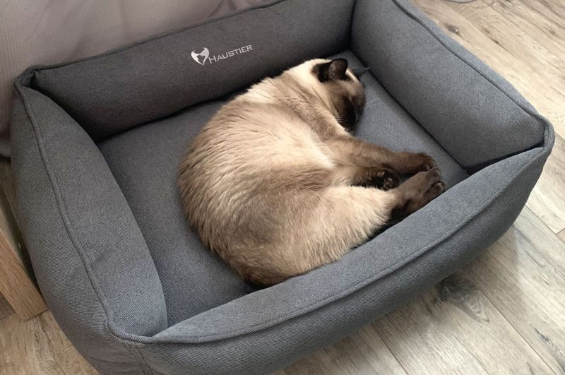 Лежанки для кошек