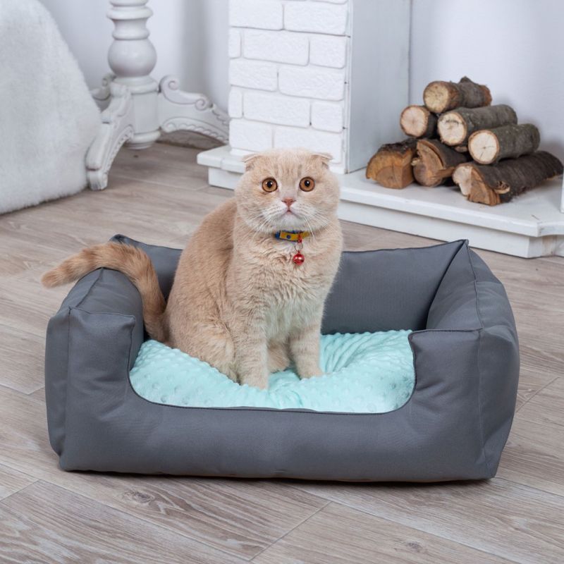 Лежанки для кошек